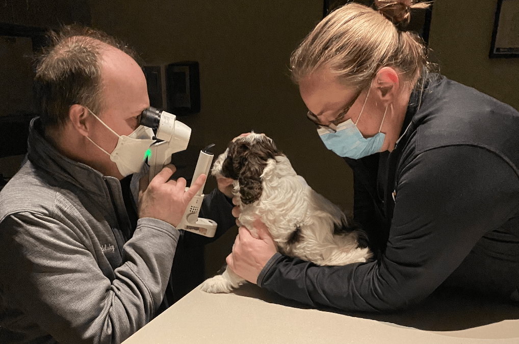 CERF/CAER: Health Testing